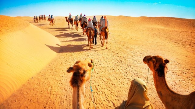 7 days Soul of Oman Tour - from ₹1,68,067pp