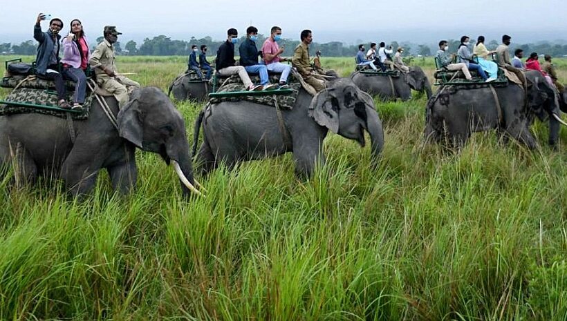 3N/4D Guwahati to Kaziranga Tour Package - from ₹16,199pp