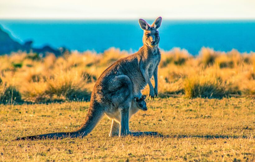 5 days Cairns City Break Tour - from ₹57,087pp